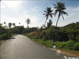 Shore Island Beach   - ISABELA